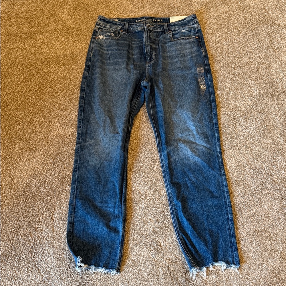 NEW American Eagle Outfitters Strigid Mom Jeans